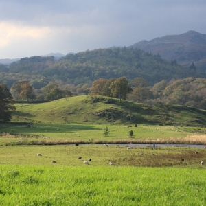 Great Landale Beck near Skelwith Bridge.