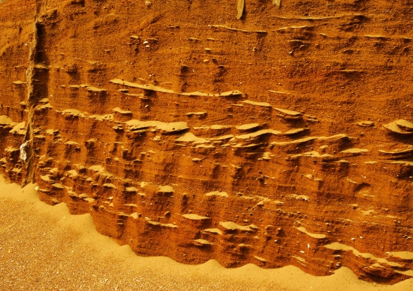 A sandy cliff in the desert