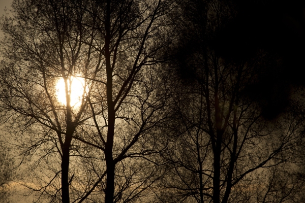 Early morning sunrise in winter