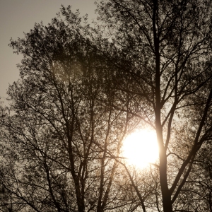 Early morning sunrise in winter