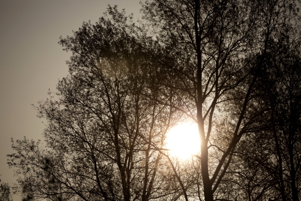 Early morning sunrise in winter