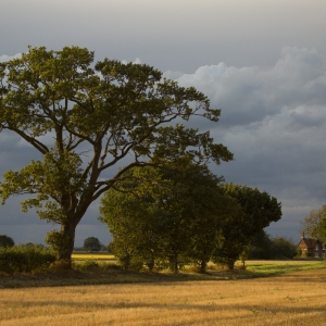 A stormy summer's evening just before sunset