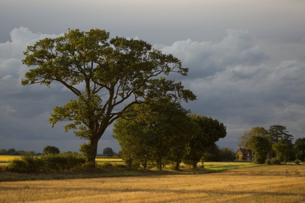 A stormy summer's evening just before sunset