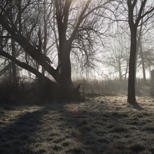 A frosty winter morning in the suffolk countryside