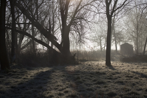 A frosty winter morning in the suffolk countryside