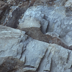 A close up view of rock face with gigantic fissures