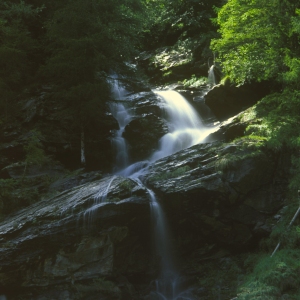 A mountain waterfall in the forest