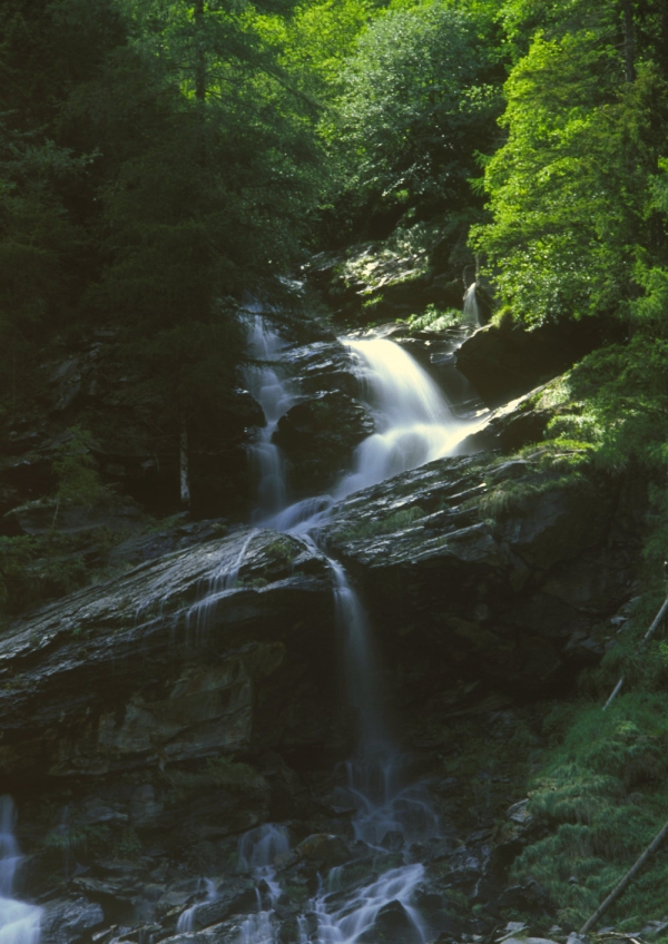 A mountain waterfall in the forest