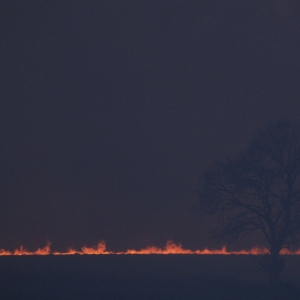 A fire in a field