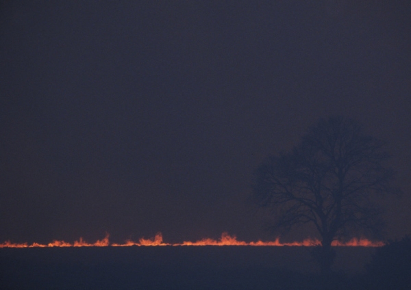 A fire in a field