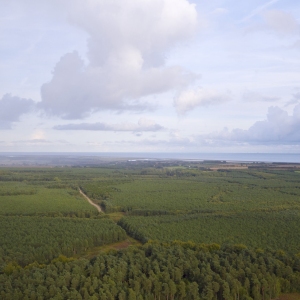 Aerial photograph of Rendlesham forest in suffolk