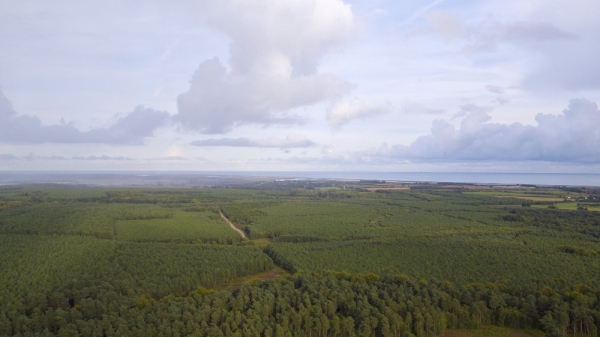 Aerial photograph of Rendlesham forest in suffolk