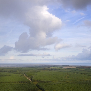 An aerial photograph of a forest and the suffolk coastline