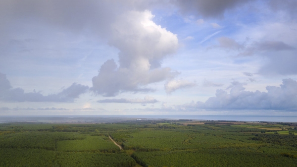 An aerial photograph of a forest and the suffolk coastline