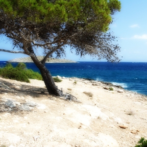 A rocky Ibiza coastline