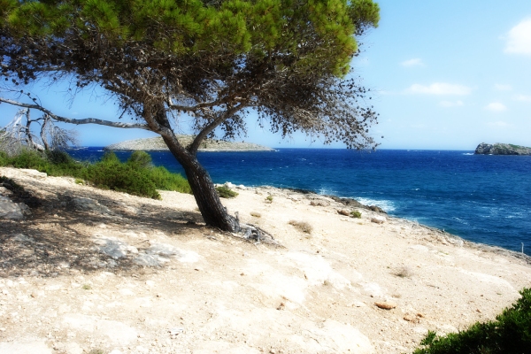 A rocky Ibiza coastline