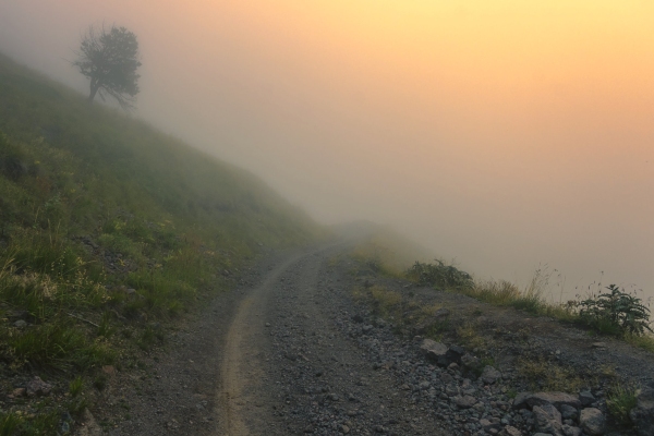 A fog bound mountain road with lonely tree in the background