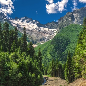 Magnificent mountain scenery with forests and streams