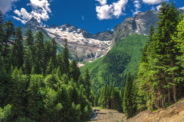 Magnificent mountain scenery with forests and streams