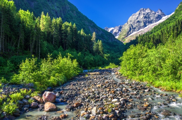 An alpine stream with snow covered peaks in the distance