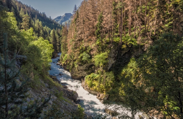 A fast flowing mountain stream in the high alps