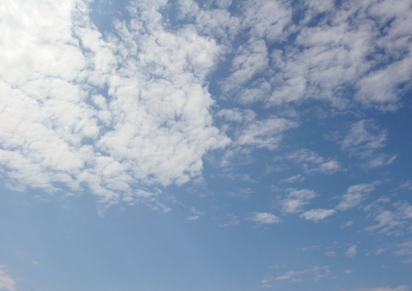 Cirrus clouds in a summer afternoon sky