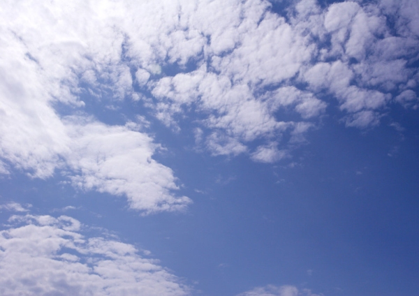 Cirrus clouds high in the sky