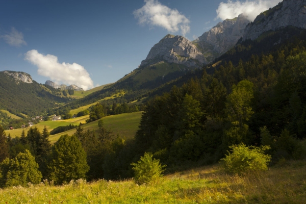 Alpine view with the mountain village of Montmin in the distance