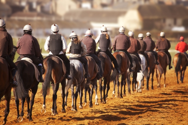 A string of racehorses being walked back to the start line in training