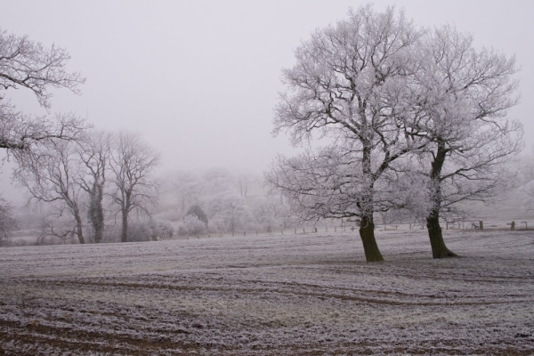 A winter landscape on a very frosty morning