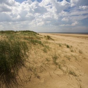 A magnificent expanse of empty beach at Holkham Bay in North Norfolk