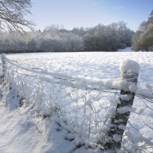 A winter landscape in East Anglia