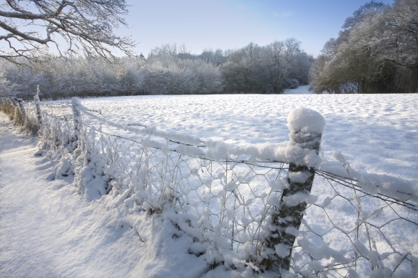 A winter landscape in East Anglia