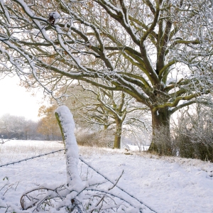 Winter landscape in agricultural East Anglia