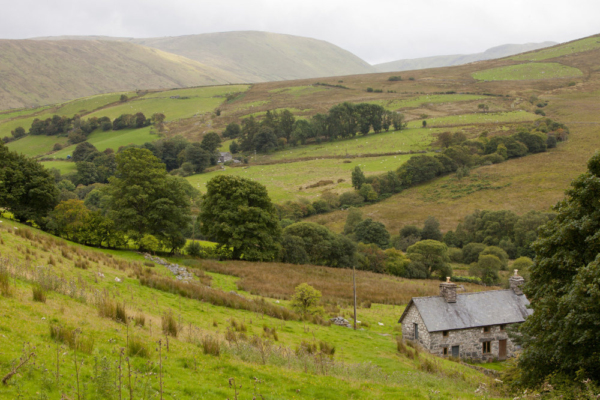 Welsh cottages or hill farms