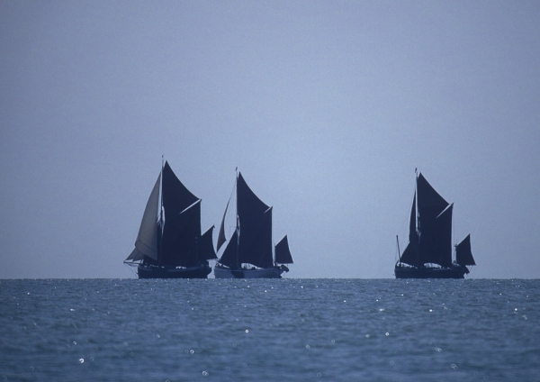 Thames sailing barges taking part in the annual barge race from Maldon