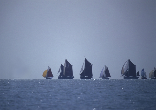 The annual Thames sailing barge race at Maldon in Essex