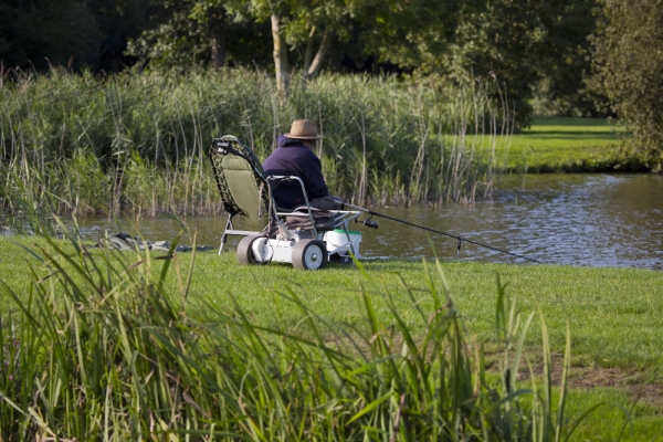 An elderly angler coarse fishing on the banks of an English country lake in high summer, with electric assisted tackle trolley