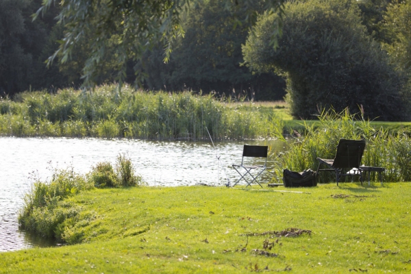 Coarse fishing gear ready on the banks of a beautiful lake in suffolk, England on a perfect summer evening