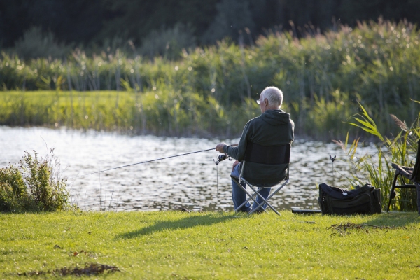 A coarse fisherman float fishing on a river bank or lakeside on a delightful summer evening in suffolk, england