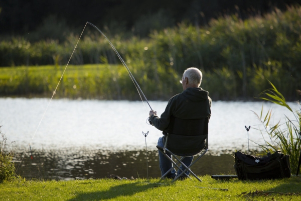 A coarse fisherman playing a small fish at the river bank on a beautiful summer evening in suffolk, england