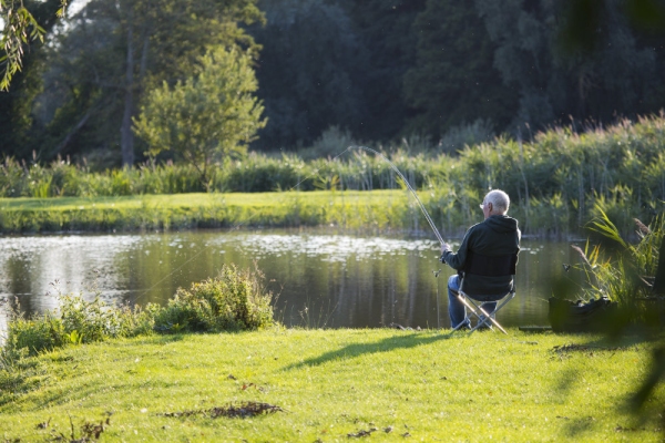 A coarse fisherman float fishing on a river bank or lakeside on a delightful summer evening in suffolk, england, having just caught a big fish