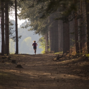 Girl jogging in the sunlit forest