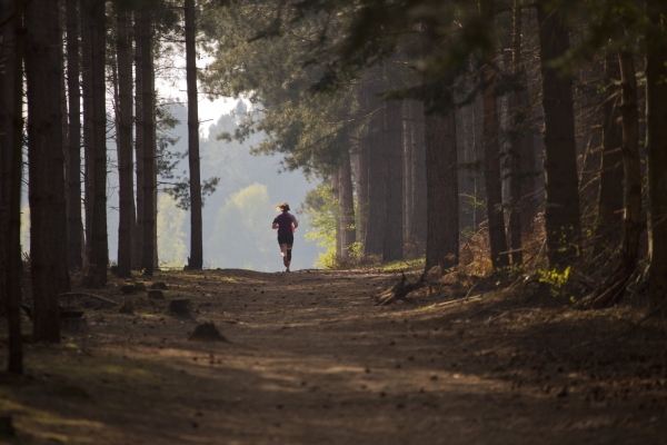 Girl jogging in the sunlit forest