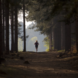 A young girl running along a sunlit forest track in the summer