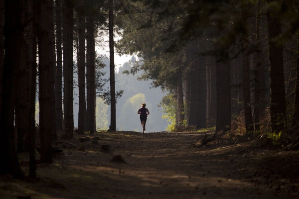 A young girl running along a sunlit forest track in the summer