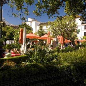 Early morning in Plaza de los Naranjos, Marbella, Spain