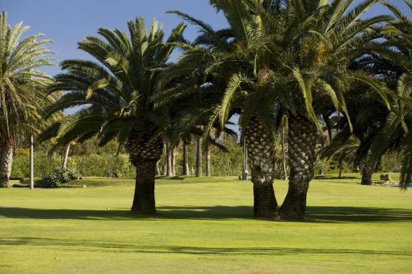 A golf course in Southern Spain