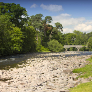 The river Usk in South Wales, one of the UK's finest brown trout rivers