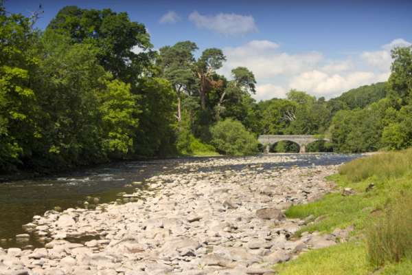 The river Usk in South Wales, one of the UK's finest brown trout rivers